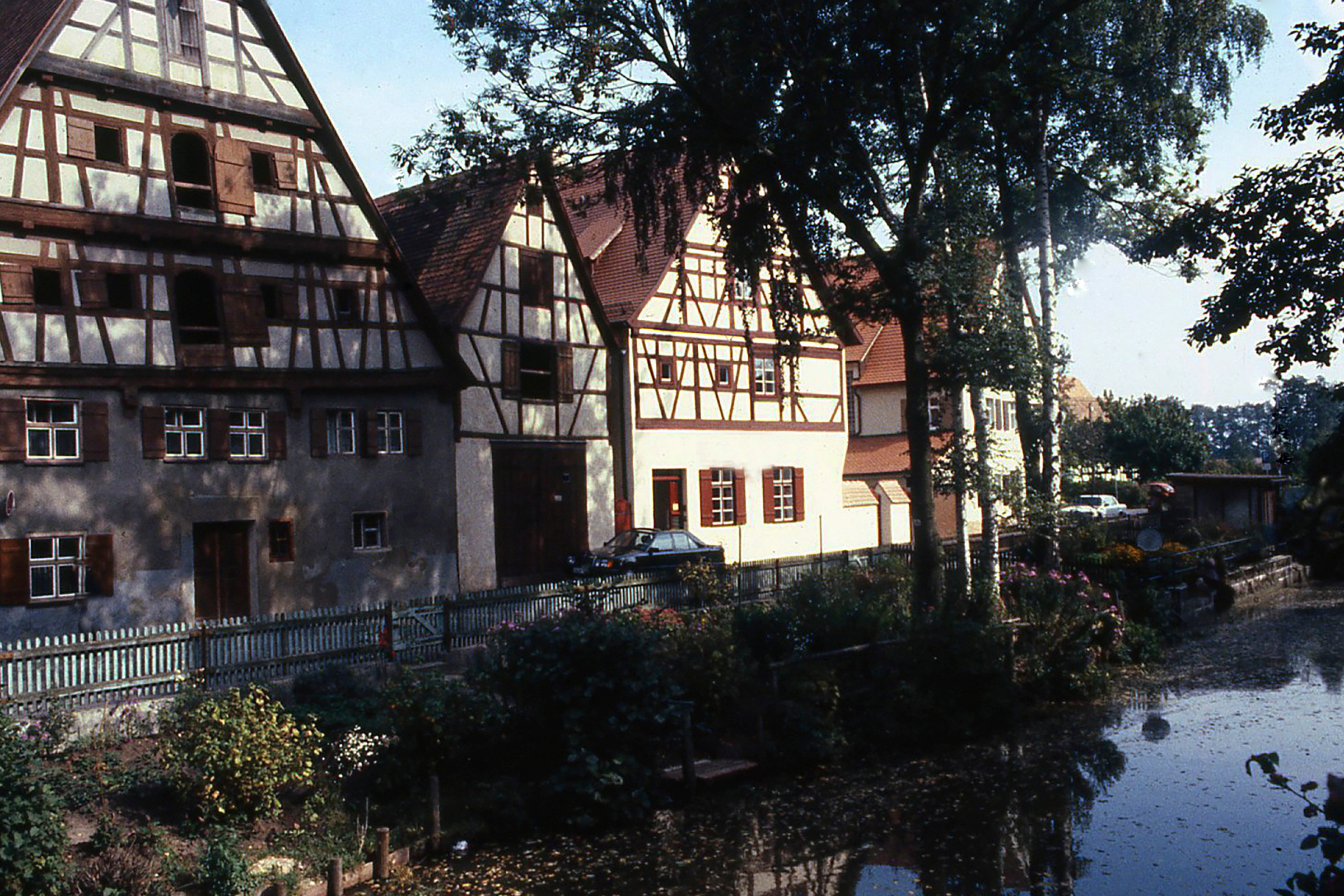 38 rothenberg.webp